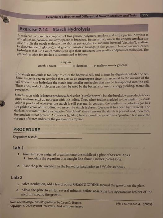 Solved Exercise 7.14 Starch Hydrolysis A molecule of starch | Chegg.com