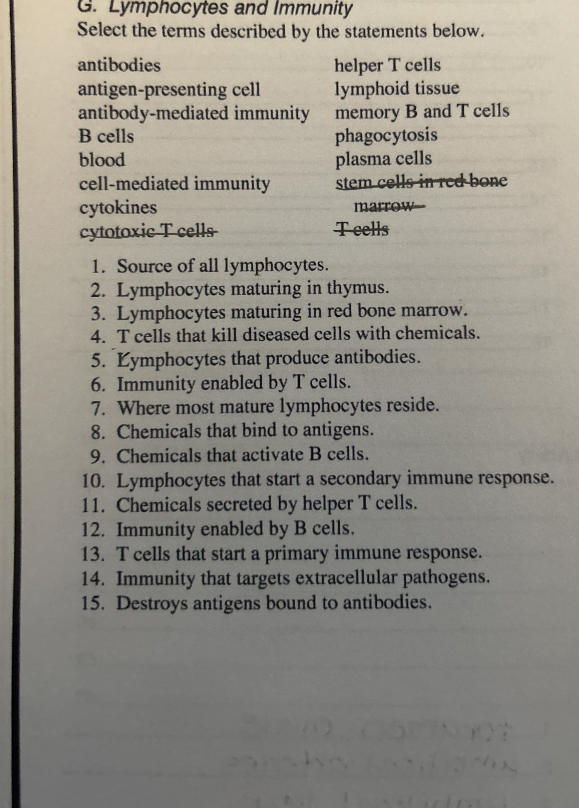 Solved G. ﻿Lymphocytes and ImmunitySelect the terms