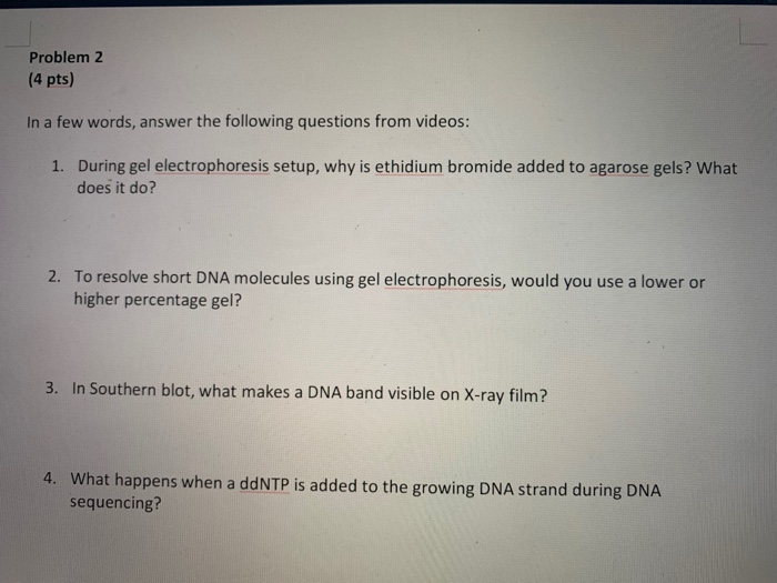 Solved Problem 2 (4 Pts) In A Few Words, Answer The | Chegg.com