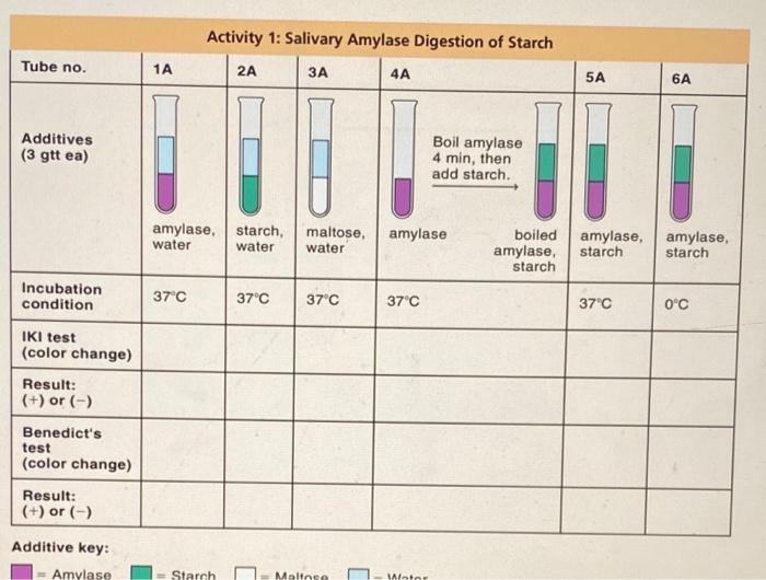 Solved what would be the color changes and positive or