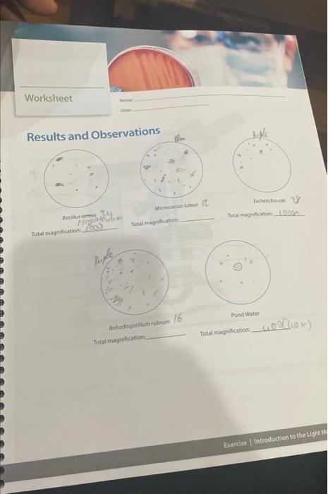 Results and Observations | Chegg.com