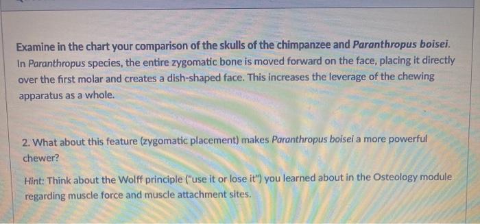 Solved M1 Lab: Australopithecine Comparison Chart Fill out | Chegg.com