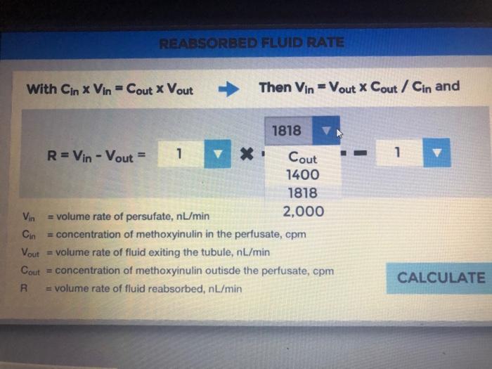 Solved REABSORBED FLUID RATE With Cin X Vin = Cout X Vout