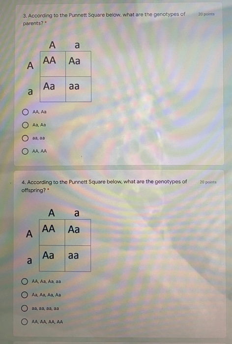 Solved 20 points 3. According to the Punnett Square below. | Chegg.com
