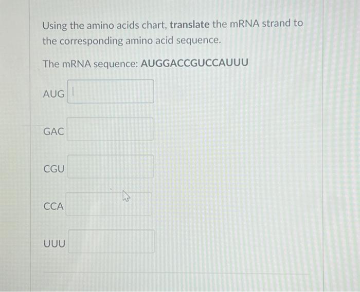 Solved Using the amino acids chart, translate the mRNA