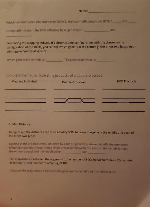 Solved Name: BIO340 Activity #2: 3-Point Cross, Gene Order | Chegg.com