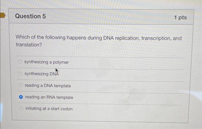 Transcription S Secret Uncovering The Synthesized Polymer - ib6156o
