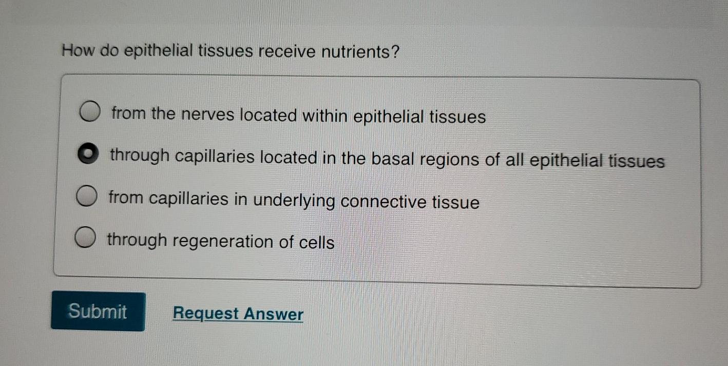 Solved How do epithelial tissues receive nutrients? from the