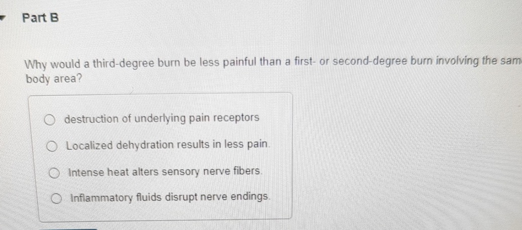 Solved Part BWhy would a third-degree burn be less painful | Chegg.com