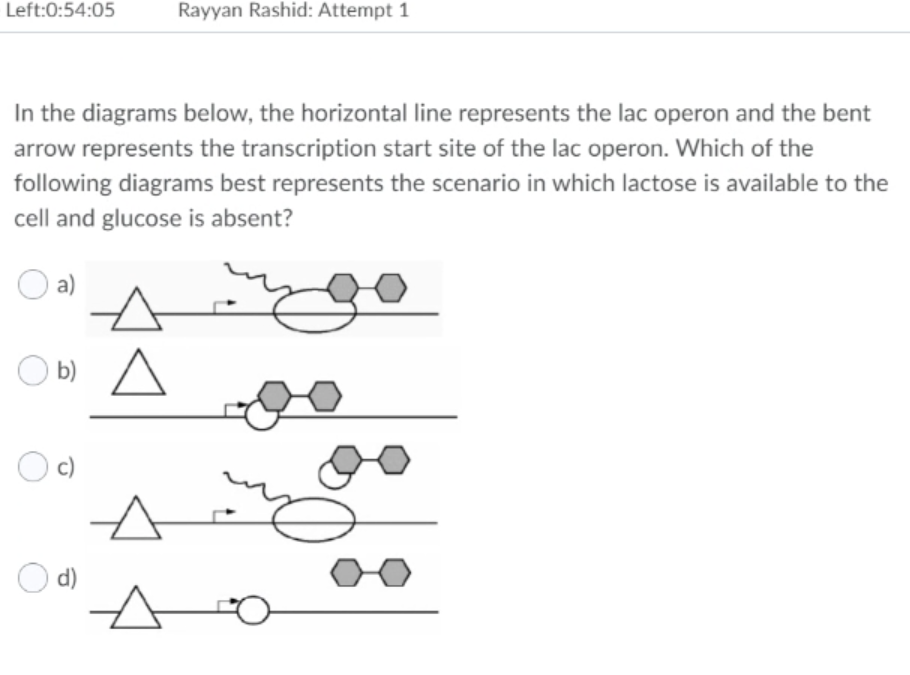 Solved Question 40 (1 point) The lac operon in E. coli | Chegg.com