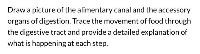 Solved Draw a picture of the alimentary canal and the | Chegg.com