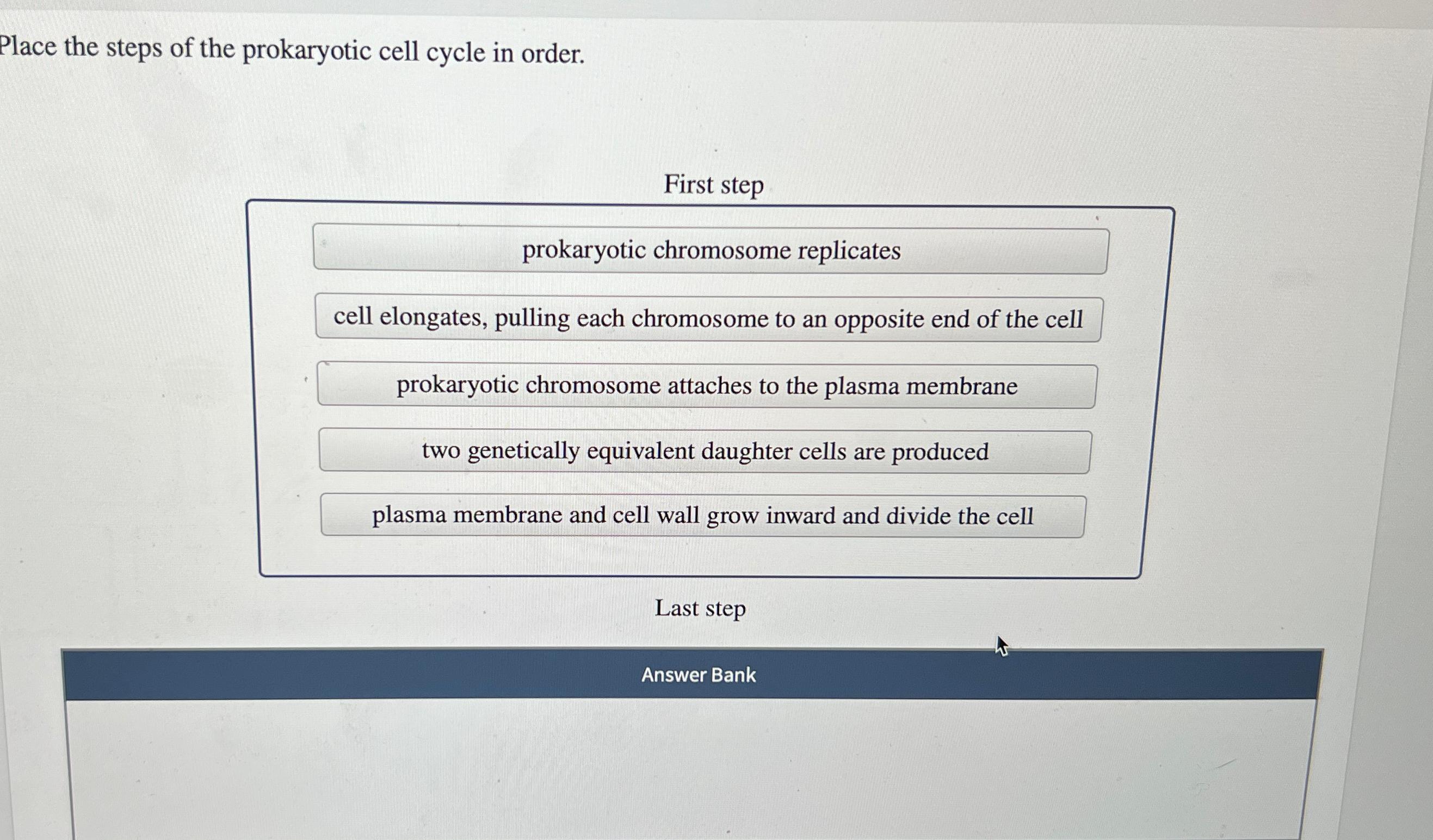 Solved Place the steps of the prokaryotic cell cycle in Biology Diagrams