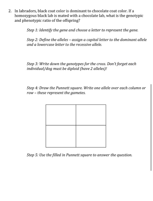 Solved Directions: Use the step-by-step tutorial directions | Chegg.com