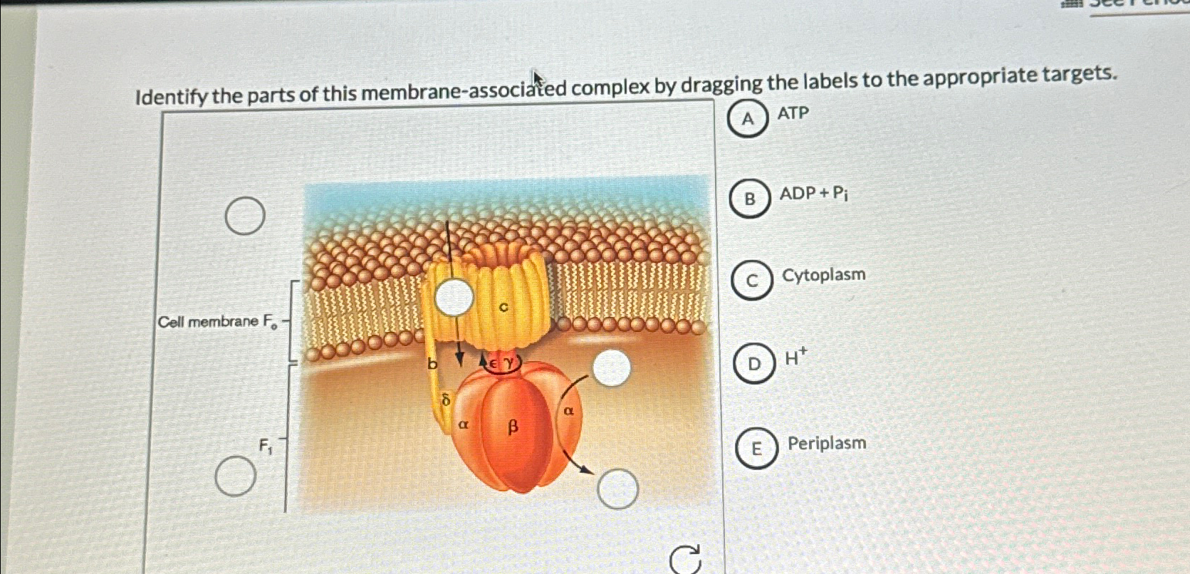 Solved Identify the parts of this membrane-associated | Chegg.com
