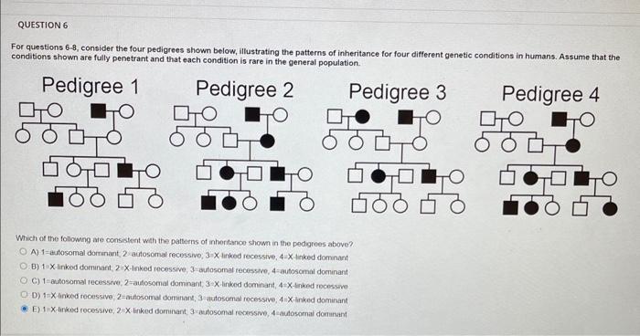 Solved For Questions 6-8, Consider The Four Pedigrees Shown | Chegg.com