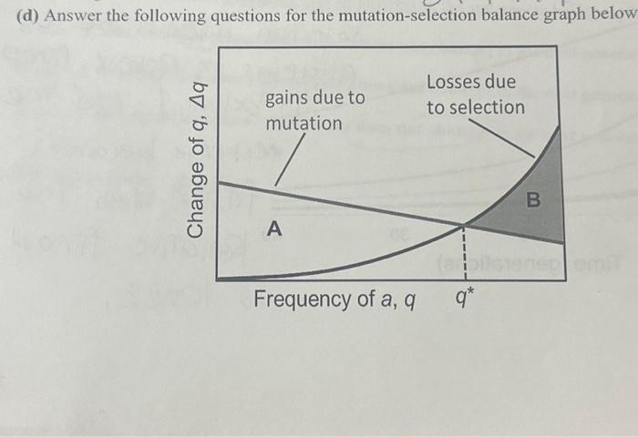Solved (d) Answer the following questions for the | Chegg.com