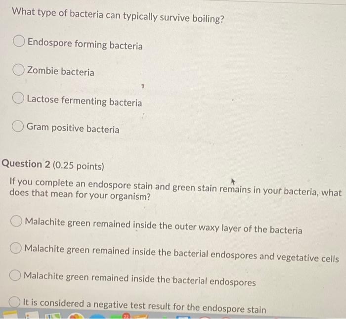 Solved What type of bacteria can typically survive boiling?