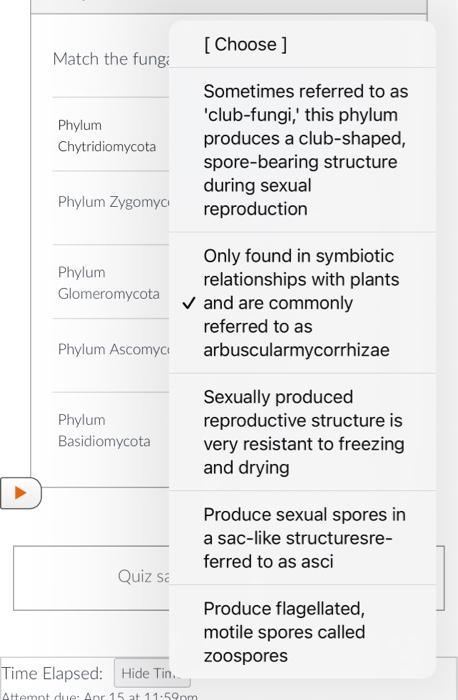 Solved Question 5 1 pts Match the fungal phyla to their | Chegg.com