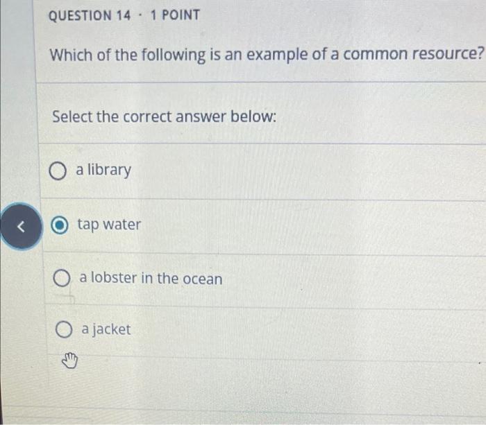 Solved QUESTION 14 . 1 POINT Which of the following is an | Chegg.com