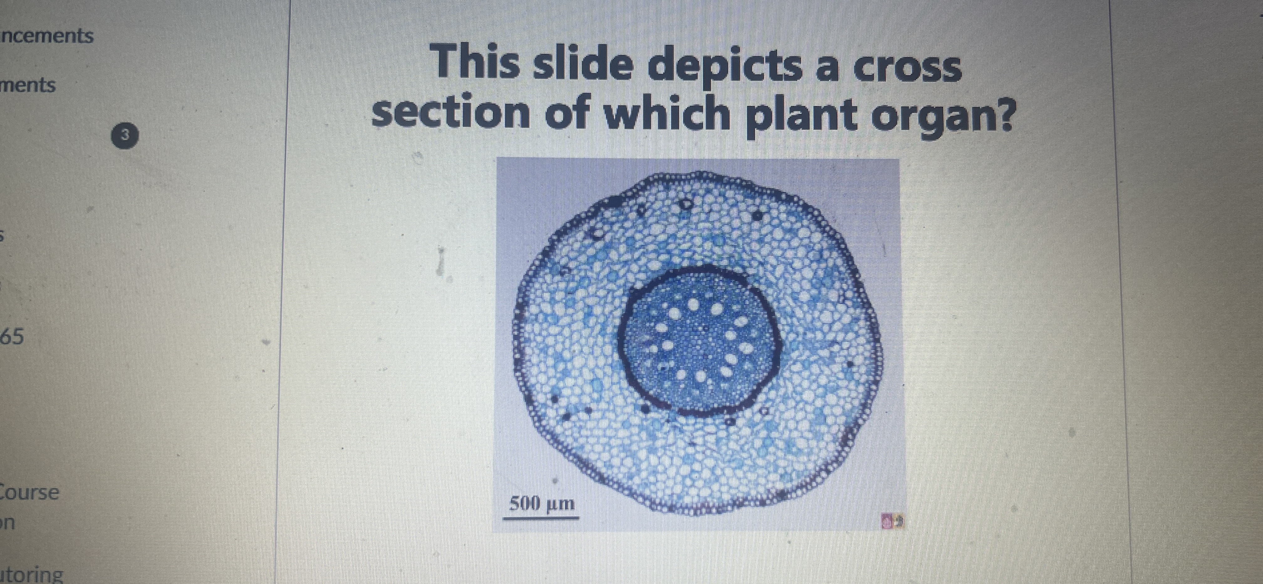 Solved This slide depicts a cross section of which plant | Chegg.com