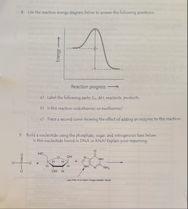 Solved Use the reaction energy dagram below to answer the | Chegg.com