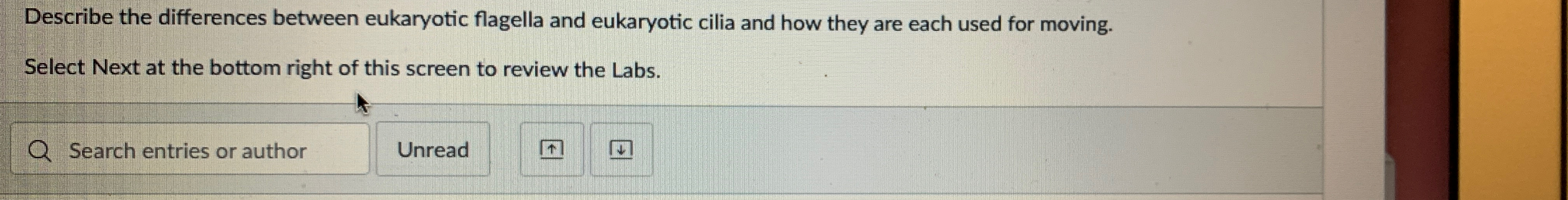 Solved Describe the differences between eukaryotic flagella | Chegg.com