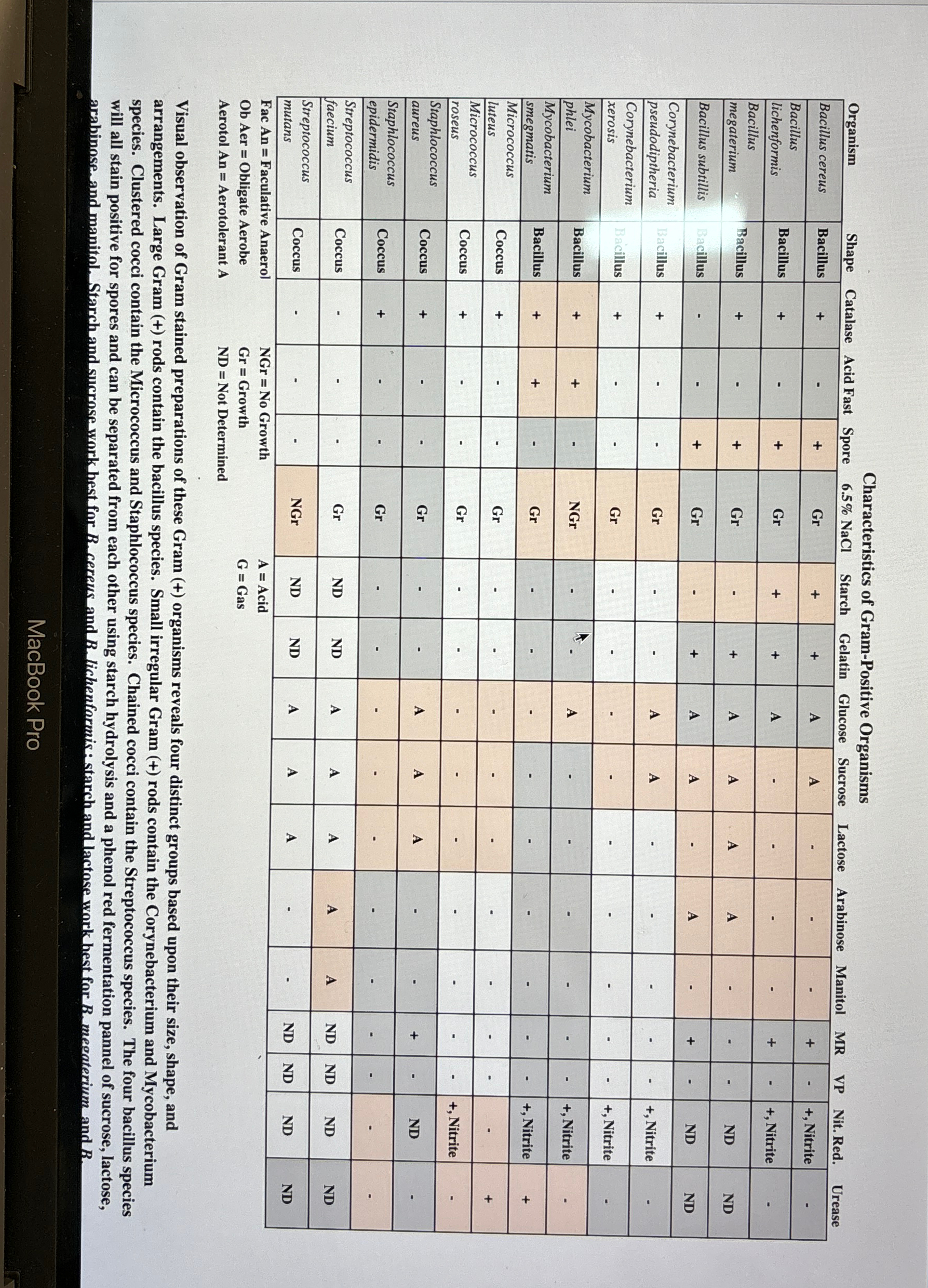 Can you make me a dichotomous key for this chart | Chegg.com
