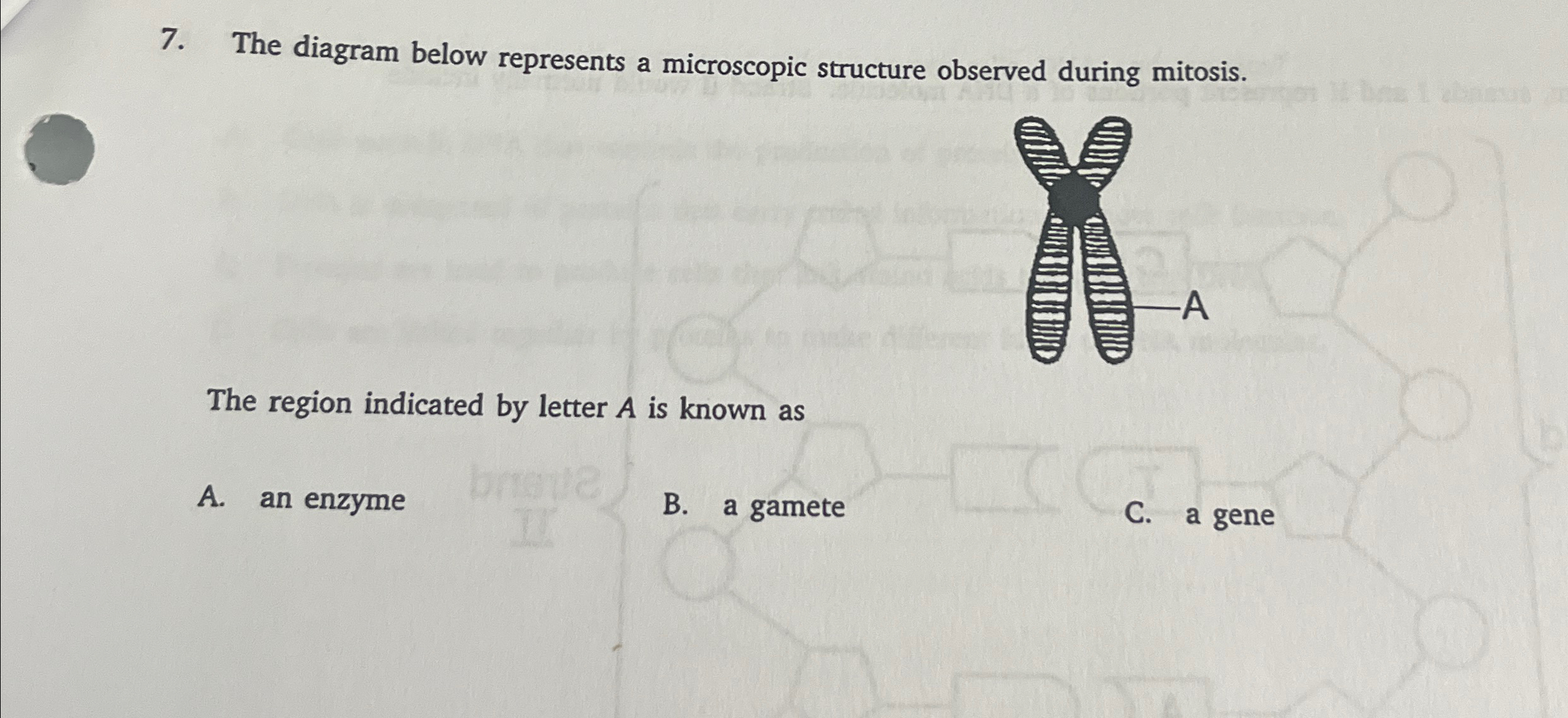 Solved The diagram below represents a microscopic structure | Chegg.com